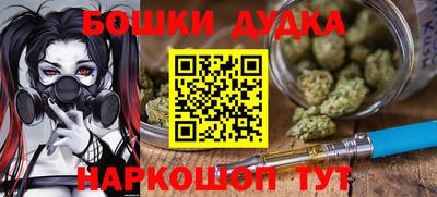 PSILOCYBIN Северобайкальск